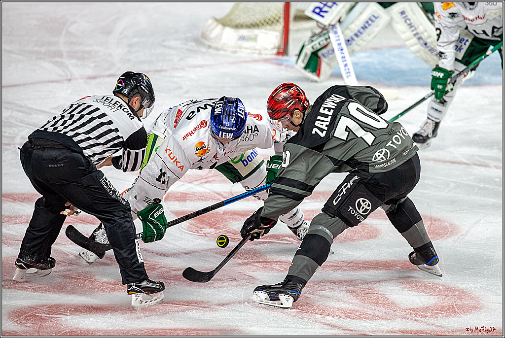 DEL; Koelner Haie - Augsburger Panther, 14.11.2018